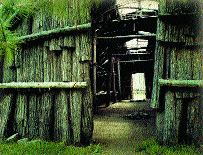 Great Lakes Indian tribes depended on the forests for raw materials for their homes